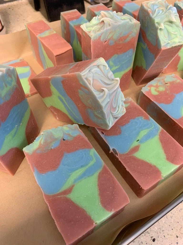 Cactus Agave Tall and Skinny 5 oz Soap bar