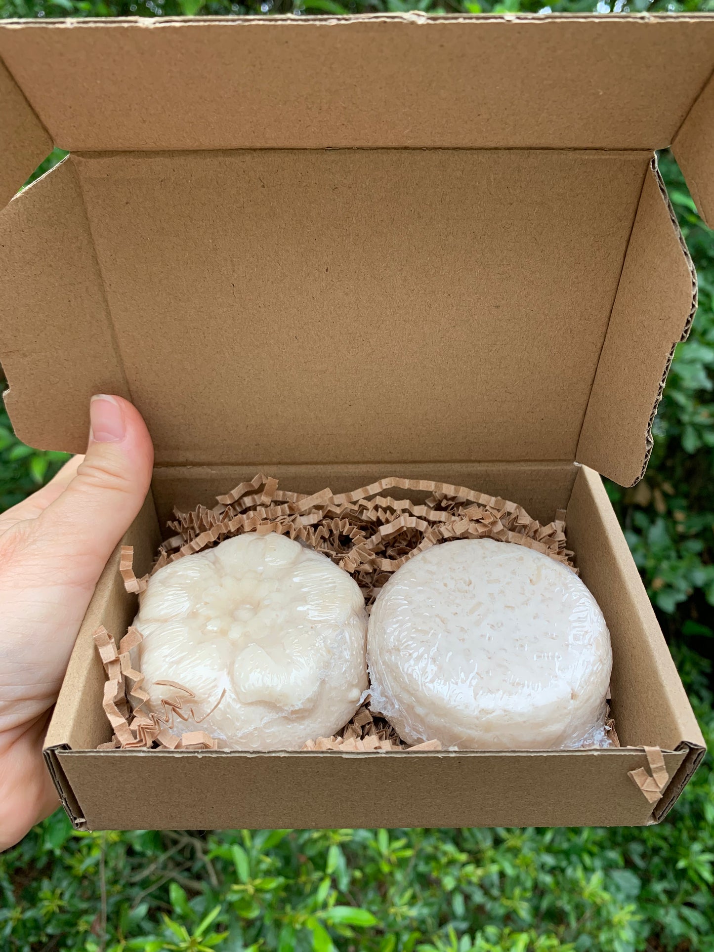 Citrus Berry Bloom Shampoo & Conditioner Bar