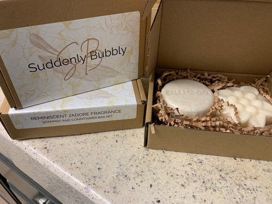 Reminiscent J'adore Shampoo and Conditioner bar set