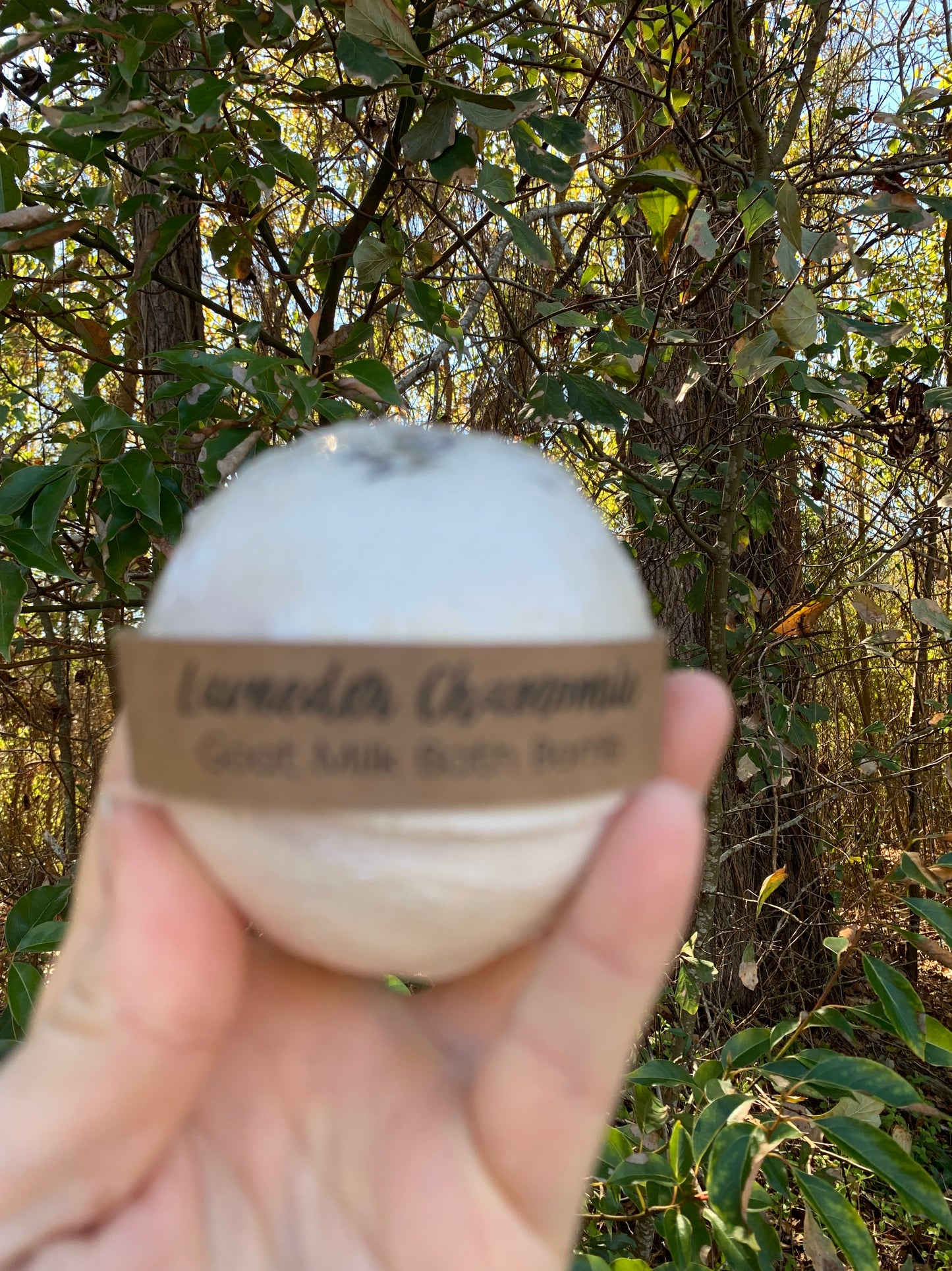 Goat Milk Bath Bombs
