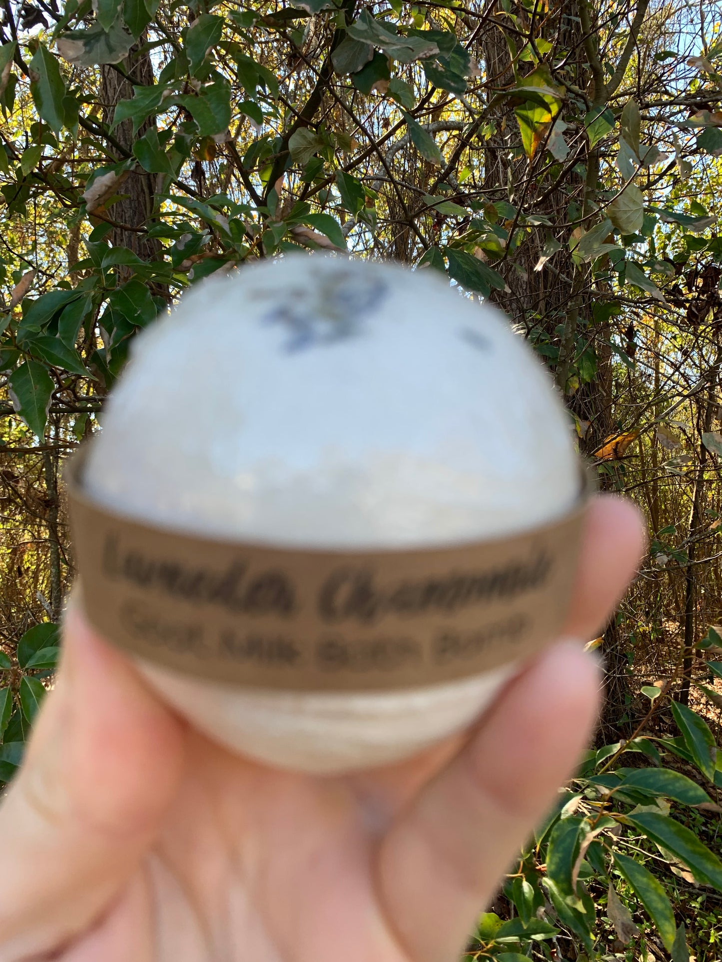 Goat Milk Bath Bombs