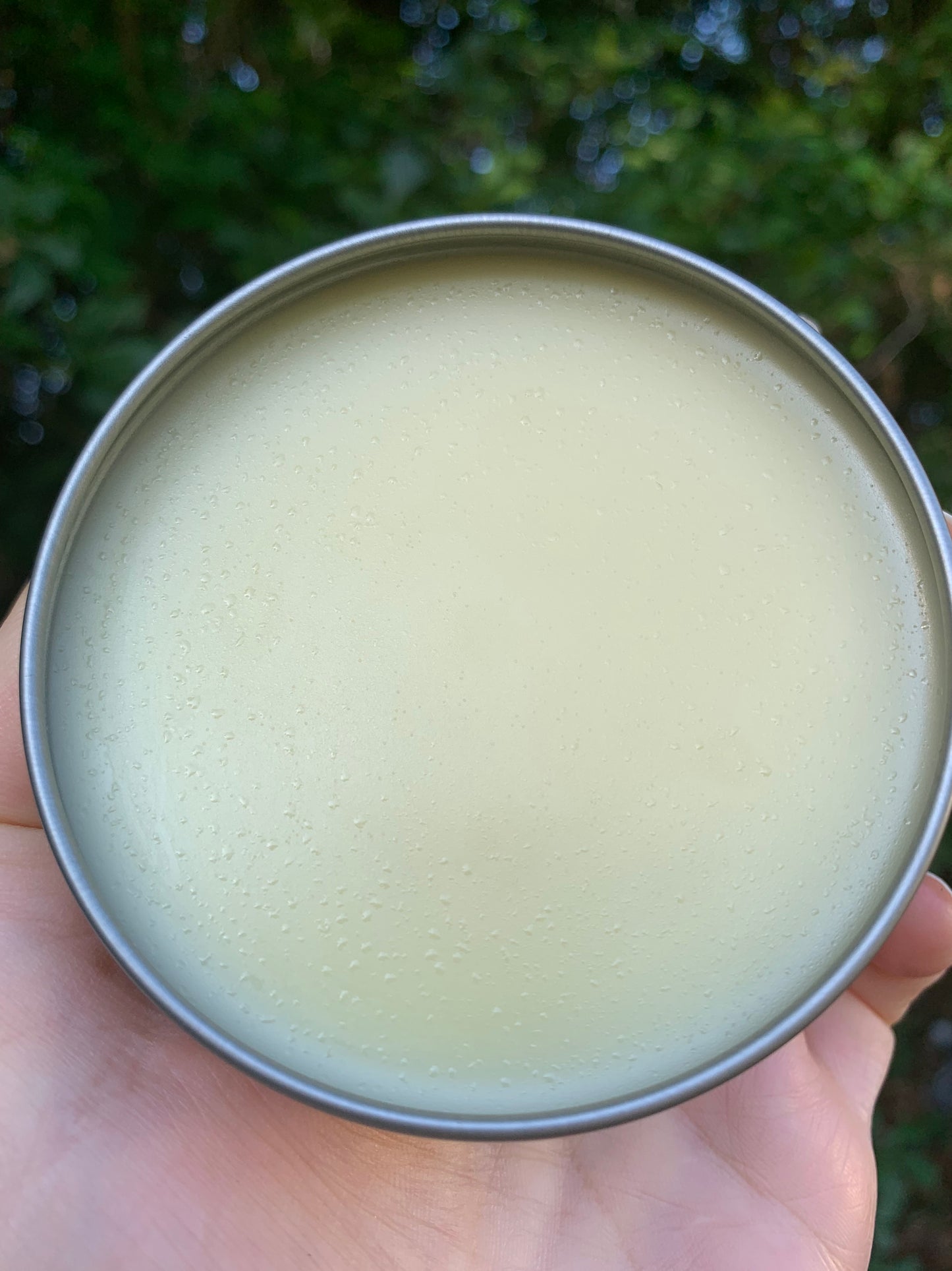 Wildly Refined Beard Balm – Suddenly Bubbly Boutique